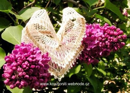 10 - srdíčko v objetí šeříku