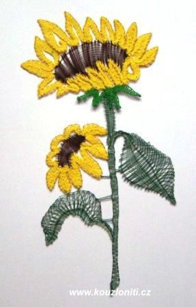 5 - paličkovaná slunečnice na bílém pozadí