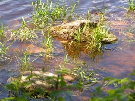 17 - u břehu jezera