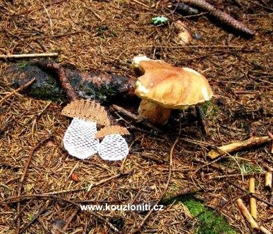 9 - paličkované hříbky s větším pravým hříbkem