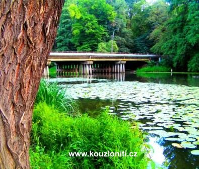 5 - Stará Boleslav - jeden z revírů Labe