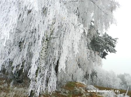 14 - konec listopadu 2011 na Vysočině