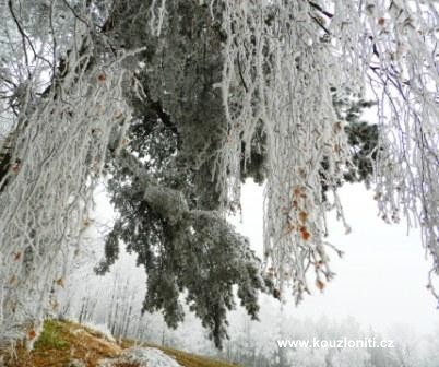 32 - konec listopadu 2011 na Vysočině