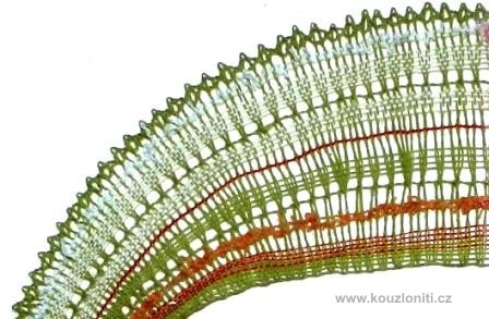 13 - Detail hotové krajky