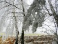 6 - konec listopadu 2011 na Vysočině